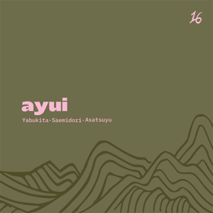 Ayui